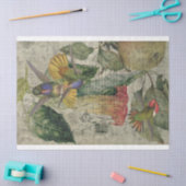 ヴィンテージハミングバードコラージュ – ティッシュペーパー 薄葉紙 (クラフト)