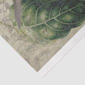 ヴィンテージハミングバードコラージュ – ティッシュペーパー 薄葉紙 (詳細)