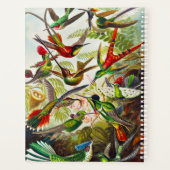 ヴィンテージハミングバードバイアーンストヘッケル プランナー手帳 (裏面)