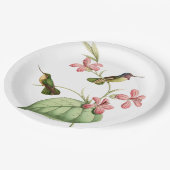 ヴィンテージハミングバードパーティー ペーパープレート (アングル)