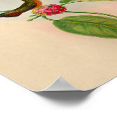 ヴィンテージハミングバードプリント赤い花 ポスター (角)