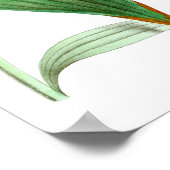 ヴィンテージハミングバードプリントNo.1春ウォールデコール ポスター (角)