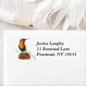 ヴィンテージハミングバード差出人住所ラベル ラベル (インサイチュ)