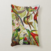 ヴィンテージハミングバード：アーンスト·ヘッケル アクセントクッション (正面(垂直))