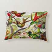 ヴィンテージハミングバード：アーンスト·ヘッケル アクセントクッション (裏面)