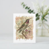 ヴィンテージハミングバード ポストカード (スタンド正面)