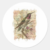 ヴィンテージハミングバード ラウンドシール (正面)