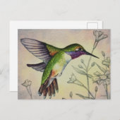 ヴィンテージハミングバードNo.2水彩画 ポストカード (正面/裏面)