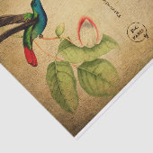 ヴィンテージハミング鳥フローラフフランスのラワー 薄葉紙 (詳細)