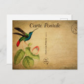 ヴィンテージハミング鳥フローラフランスの花 ポストカード (正面/裏面)