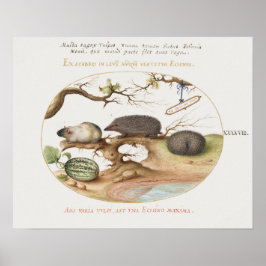 ヴィンテージハリネズミのポスター ポスター