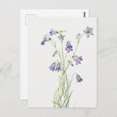 ヴィンテージハレベル花はがき ポストカード (正面/裏面)