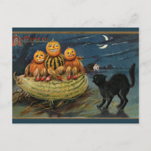 ヴィンテージハロウィンカボンプキンズブラックキャット ポストカード
