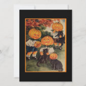 ヴィンテージハロウィンキッズ黒猫とカボチャ (正面)