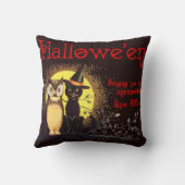 ヴィンテージハロウィン猫とフクロウ クッション (裏面)