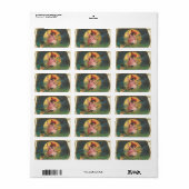 ヴィンテージハロウィーンの魔女の画像ラベル ラベル (フルシート)