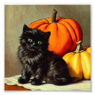 ヴィンテージハロウィーンブラックキャットとカボチャ フォトプリント