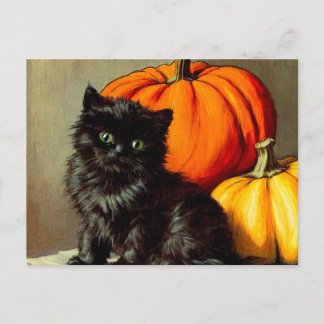 ヴィンテージハロウィーンブラックキャットとカボチャ ポストカード