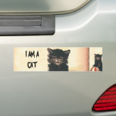 ヴィンテージハロウィーンブラックキャット バンパーステッカー (車上)