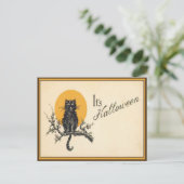 ヴィンテージハロウィーンブラックキャット ポストカード (スタンド正面)