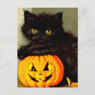 ヴィンテージハロウィーン猫とジャック・オランタン ポストカード