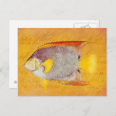 ヴィンテージハワイアンエンジェルフィッシュ – アンティークハワイ ポストカード (正面/裏面)