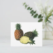 ヴィンテージハワイアンパイナップルオーガニック、フードフルーツ ポストカード (スタンド正面)