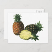 ヴィンテージハワイアンパイナップルオーガニック、フードフルーツ ポストカード (正面/裏面)