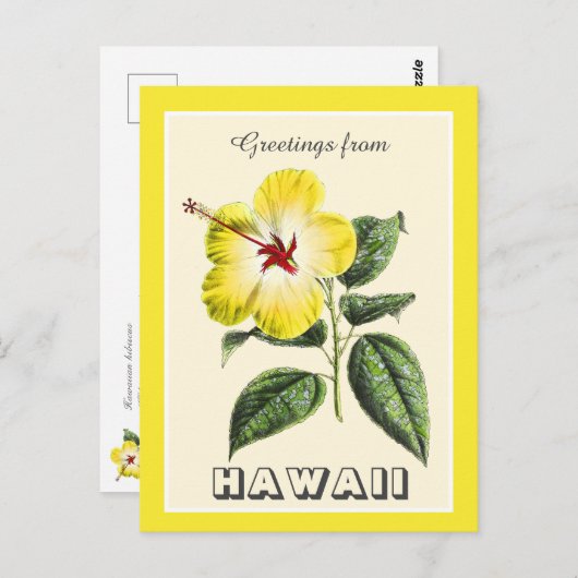 ヴィンテージハワイイエローハイビスカスからの挨拶 ポストカード (正面/裏面)