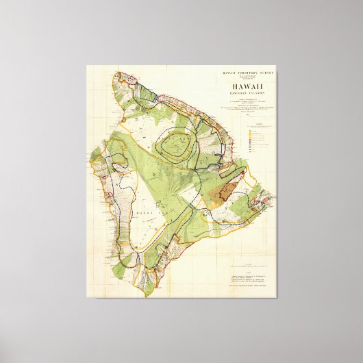 ヴィンテージハワイ島の地図（1906年） キャンバスプリント (正面)