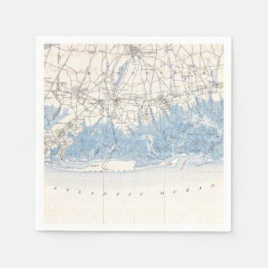 ヴィンテージハンプステッドロングビーチロングアイランドニューヨーク スタンダードカクテルナプキン (正面)