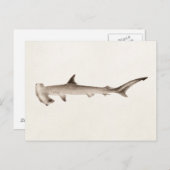ヴィンテージハンマーヘッドシャークイラストレーションレトロシャーク ポストカード (正面/裏面)