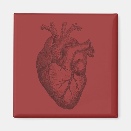 ヴィンテージハートイラストレーション マグネット (正面)