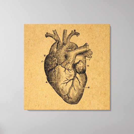 ヴィンテージハートダイアグラムイラストレーションヴィンテージアート キャンバスプリント (正面)