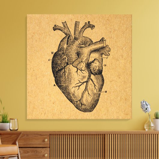 ヴィンテージハートダイアグラムイラストレーションヴィンテージアート キャンバスプリント (インサイチュ (リビング))
