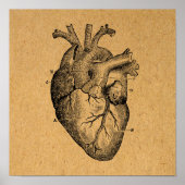 ヴィンテージハートダイアグラムイラストレーションヴィンテージアート ポスター (正面)