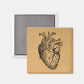 ヴィンテージハートダイアグラムイラストレーションヴィンテージアート マグネット (正面/裏面)