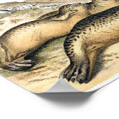 ヴィンテージハーバーシーズイラストレーション ポスター (角)