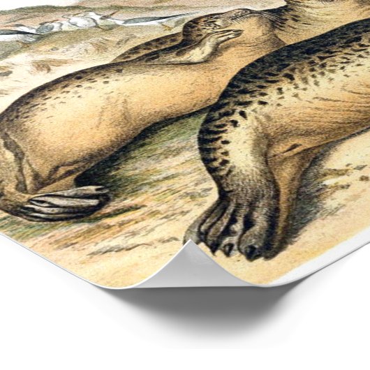 ヴィンテージハーバーシーズイラストレーション ポスター (角)