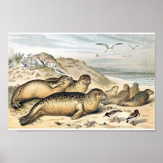 ヴィンテージハーバーシーズイラストレーション ポスター (正面)