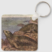 ヴィンテージハーバーシール、海洋生物海動物 キーホルダー (裏面)