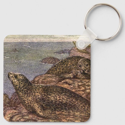 ヴィンテージハーバーシール、海洋生物海動物 キーホルダー (裏面)