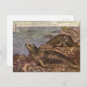 ヴィンテージハーバーシール、海洋生物海動物 ポストカード (正面/裏面)