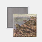 ヴィンテージハーバーシール、海洋生物海動物 マグネット (正面/裏面)