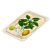 ヴィンテージハーブプラントレモンフルーツ植物芸術 マグネット (左側)