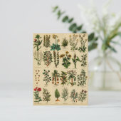 ヴィンテージハーブポストカードシリーズ – 5 ポストカード (スタンド正面)