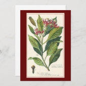 ヴィンテージハーブ香辛料、クローブ植物 (正面/裏面)