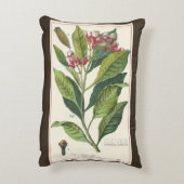 ヴィンテージハーブ香辛料、クローブ植物 アクセントクッション (裏面(縦))