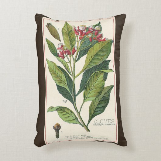 ヴィンテージハーブ香辛料、クローブ植物 アクセントクッション (正面(垂直))