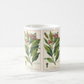 ヴィンテージハーブ香辛料、クローブ植物 コーヒーマグカップ (中央)